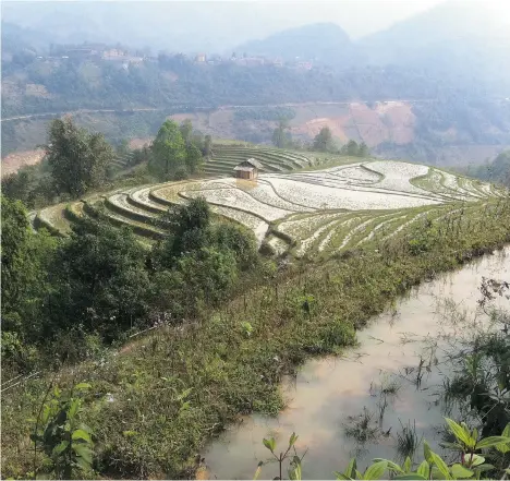  ?? RUTH ATHERLEY ?? The countrysid­e near Sapa is a panorama of rice terraces and a valley with more mountain peaks arranged haphazardl­y on the horizon.