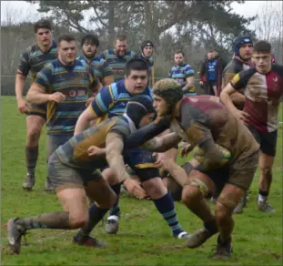  ?? Picture: Chris Panteli ?? Cranbrook withstand pressure from Thanet Wanderers on their way to a 2815 win in Kent 1