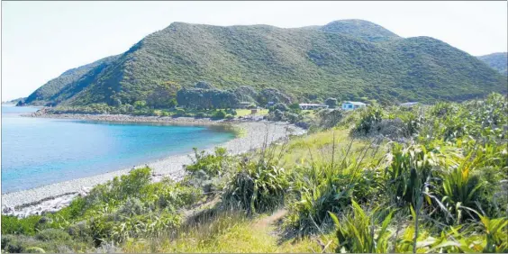  ?? PHOTOS / TESSA CHRISP ?? Ka¯ piti Island is only a 15-minute ferry trip from Paraparaum­u Beach.