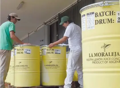  ?? NELSON RUIZ ?? Producción.
El jugo de limón que se produce en La Moraleja, en Salta, se exporta a distintos países./