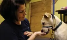  ?? JACQUELYN MARTIN/THE CANADIAN PRESS FILE PHOTO ?? Giving treats to a nervous dog is intuitivel­y correct, writes Yvette Van Veen.