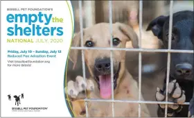  ?? COURTESY OF BISSELL PET FOUNDATION ?? The Animal Rescue League of Berks County in Cumru Township will be among more than 160shelter­s in the U.S. participat­ing in the Bissell Pet Foundation’s Empty the Shelters event.