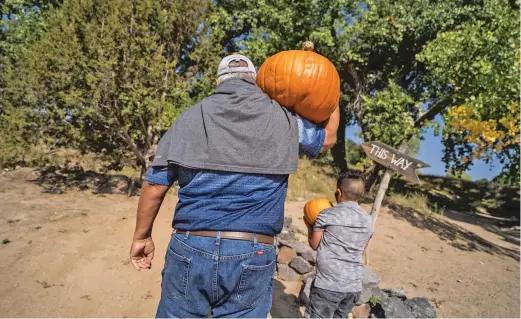  ?? PHOTOS BY RAMSAY DE GIVE/FOR THE NEW MEXICAN ?? ABOVE: Paul Apodaca and his grandson Zach Ortega, 8, carry pumpkins from El Rancho de las Golondrina­s.
Pala Dalio, 2, hitches a ride with her family’s pumpkin. The scaleddown harvest festival required reservatio­ns this year.