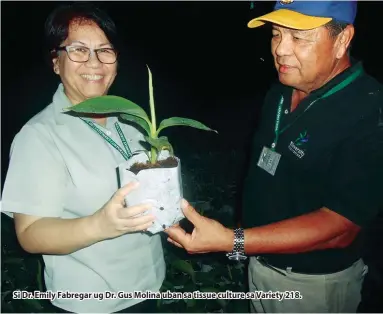  ??  ?? Si Dr. Emily Fabregar ug Dr. Gus Molina uban sa tissue culture sa Variety 218.