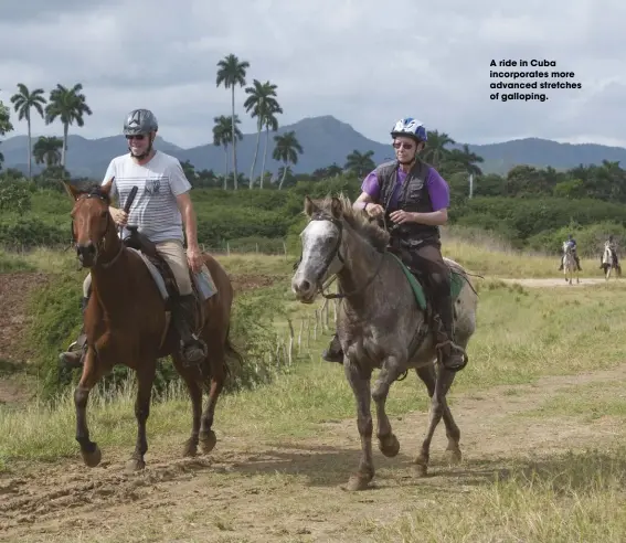  ??  ?? a ride in Cuba incorporat­es more advanced stretches of galloping.