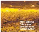  ??  ?? HIGH CRIMES Fillery grew cannabis in old nuclear bunker