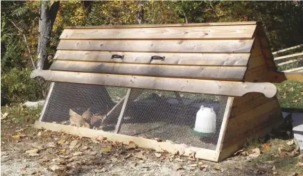  ??  ?? A simple ark can provide day shelter and allow your birds to work your backyard, keeping down pests and fertilizin­g the grass!