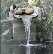  ??  ?? TRANQUIL: A water feature in the garden where Frank Edwards and Vanessa Meintjes practise permacultu­re.