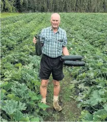  ?? PHOTOS: THE NEW ZEALAND HERALD ?? Waipapa, Northland, courgette grower Brett Heap in a field where the vegetables were not picked. The courgettes have blown out to become unmarketab­le marrows.