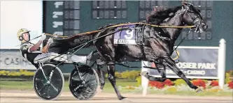  ?? ASSOCIATED PRESS FILE PHOTO ?? Yannick Gingras drives Lazarus to victory Aug. 10 in the 25th running of The Dan Patch Stakes harness race in Anderson, Ind. He races Aug. 25 in the Pacing Derby eliminatio­ns at Woodbine Mohawk Park.