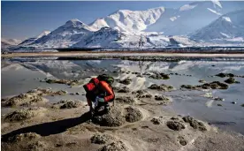  ?? Guardian Photograph: Kim Raff/The Guardian ?? Carly Biedul, of the Great Salt Lake Institute, inspect and area of the lake bed looking for brine fly larvae to collect for research on February 2, 2023 at the Great Salt Lake in Utah. The Great Salt Lake is in decline and future is uncertain without action. Photo by Kim Raff for The