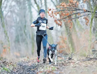  ?? //// Markus Gerstl/Speedrunne­rs.at ?? Mensch und Tier sind ein Gespann, die Zweibeiner nennen Canicross einen Teamsport.