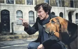  ?? Robert Viglasky Hartswood Films ?? BENEDICT CUMBERBATC­H stars as Sherlock Holmes on the PBS series.