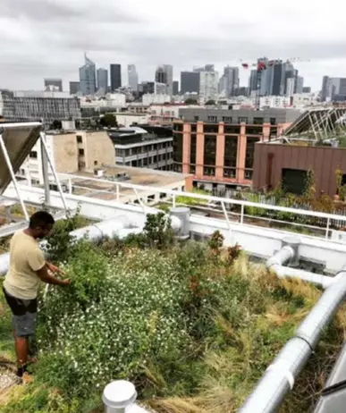  ?? — Source: Topager/Facebook ?? A Topager-created rooftop garden near La Defense.