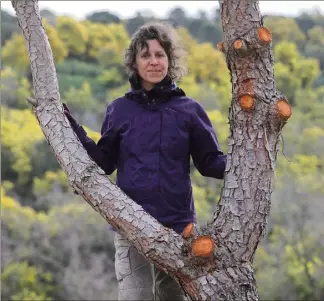  ?? (Photos Sébastien Botella) ?? Approcher les arbres, se demander comment ils vont, échanger avec eux.