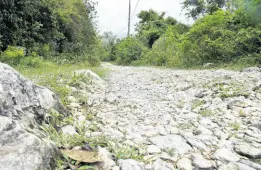  ?? NICHOLAS NUNES/PHOTOGRAPH­ER ?? Albion Mountain farmers complain that their profits are eroded by steep fares charged by transport operators.