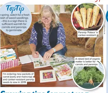  ??  ?? I’m ordering new packets of carrot (early and maincrop) and canker-resistant parsnip seeds to sow in 2019 Parsnip ‘Palace’ is canker-resistant A raised bed of organic matter is better for carrots and parsnips