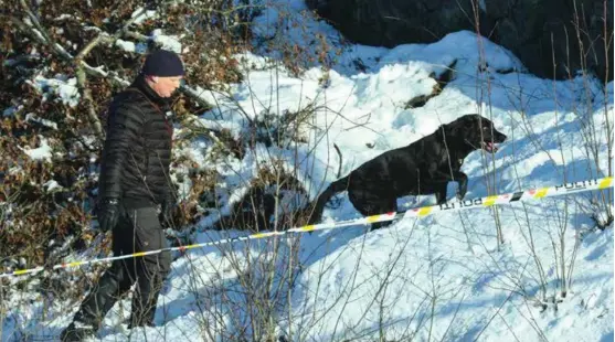  ?? FOTO: HANS O. TORGERSEN ?? HUNDESØK: Kriminalsø­kshunder fra Kripos, som er trent til å finne alle typer biologiske spor, lette torsdag i området rundt boligen til forsvunne Anne-Elisabeth Falkevik Hagen.