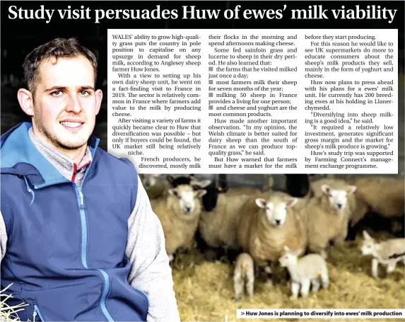  ??  ?? > Huw Jones is planning to diversify into ewes’ milk production