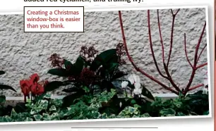  ??  ?? Creating a Christmas window-box is easier than you think.