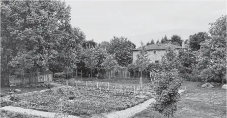  ?? CONTRIBUTE­D ?? Mark Cullen’s garden in Ontario will need some work to combat the brick-like clay that lies just beneath the surface of what he says people in that area loosely refer to as topsoil.