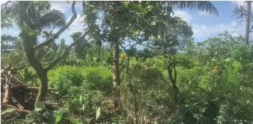  ?? Photo: Wati Talebula ?? A piece of land in Makoi that was allegedly sold illegaly by scammers.