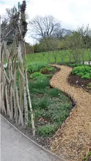  ??  ?? Bark mulch through a mixed perennial border recedes when you aren’t looking directly at it.