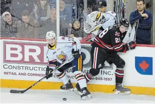  ?? BOB TYMCZYSZYN TORSTAR ?? Barrie’s Trey Zagrebski, left, checks Niagara’s Andrew Bruder into the boards in Ontario Hockey League action Friday night at Meridian Centre in St. Catharines.