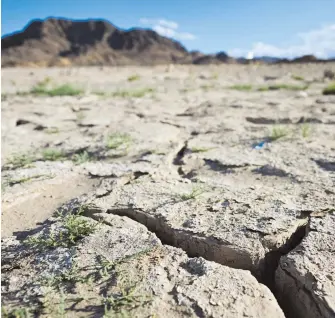  ?? AFP ?? La sequía en varias partes del caudal del río Colorado es evidente