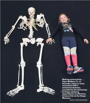  ?? PHOTO: PETER MCINTOSH ?? Making connection­s . . . Piper McGaw (7), of Dunedin, enjoys a close encounter with a simulated skeleton, provided by the University of Otago anatomy department, in a Reverse Science Fair at the Otago Museum.