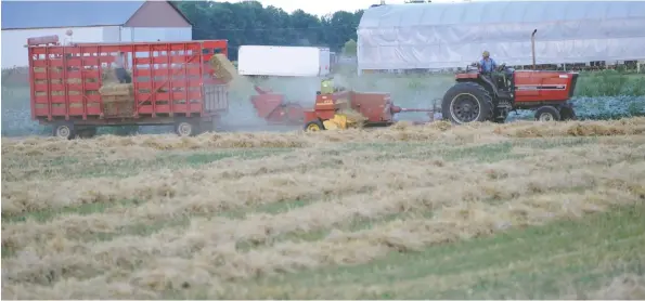  ?? [WHITNEY NEILSON / THE OBSERVER] ?? A farmer on Line 86 outside of Elmira harvests his hay field, turning them into square bales on Tuesday evening.