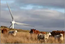  ?? ?? SHEEP AND cattle co-exist with wind turbines, but now storage schemes which house that often intermitte­nt energy source are being invested in