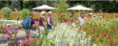  ?? Foto: Christoph Kölle ?? Dreieinhal­b Monate lang konnten die Besucher der kleinen Landesgart­enschau in Wassertrüd­ingen zwischen allerlei Blumen lustwandel­n.