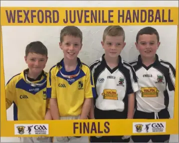  ??  ?? Boys’ Under- 10 finalists Danny Doyle, Conor Doyle, Eoin Kinsella and Ryan Murphy.