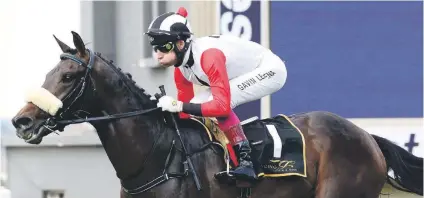  ??  ?? HANDICAPPE­D. Doosra is likely to start favourite for the Grade 3 Tony Ruffel Stakes at Turffontei­n on Saturday but could face a tough task and has been beaten by two of his rivals in the race.