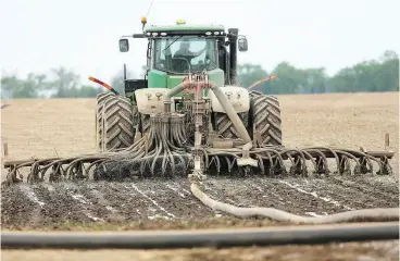  ?? MIKE HENSEN/FILES ?? To be an early adopter is risky and when times are tight, farmers in Canada tend to grow what they know, writes Toban Dyck.