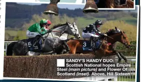  ?? ?? ■ SANDY’S HANDY DUO: Scottish National hopes Empire Steel (main picture) and Flower Of Scotland (inset). Above, Hill Sixteen