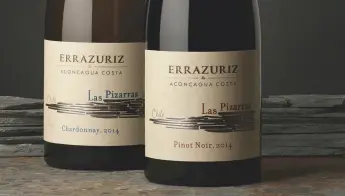  ??  ?? Above: Las Pizarras Chardonnay and Pinot Noir are ‘two of Chile’s most exciting wines of the modern era’