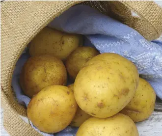  ??  ?? Golden-skinned and -fleshed Nicola potatoes (above) are packed with nutrition, just skip the butter, sour cream and bacon bits.