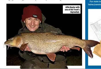  ??  ?? Alfie Naylor with one of the Trent’s big barbel.