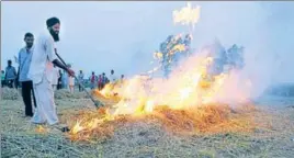  ?? HT FILE ?? ■ Nearly 43,000 stubble burning cases were reported during the paddy harvesting season last year.