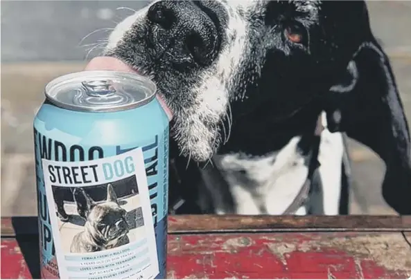  ??  ?? Cans will feature adoption adverts from dogs looking for a loving home (photo: BrewDog)