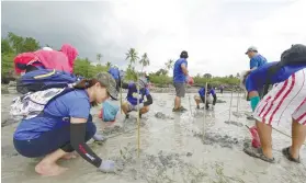  ??  ?? TREE-PLANTING