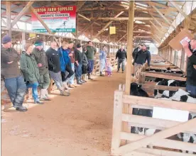  ??  ?? Cameron Smith for NZ Farmers Livestock extracts bids up to $200/head for these Stephenson Friesian bull calves on Monday.