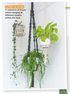  ??  ?? LUSH LEAVES ‘A selection of house plants hanging at different heights soften the look’