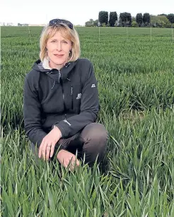  ??  ?? Above: Professor Fiona Burnett of SRUC. Below: guest speaker Professor Ian Toth of the James Hutton Institute. Bottom: pollinatio­n and the use of pesticides will be on the agenda at the conference.