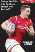  ??  ?? GEORGE NORTH