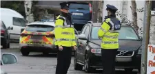  ??  ?? Gardai at the scene in Mell