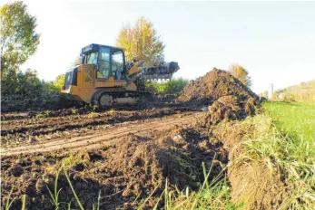  ?? FOTO: LEHMANN ?? Möglichst bald sollen in Deilingen wieder die Bagger für ein Baugebiet rollen.