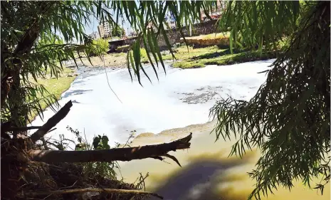  ??  ?? La espuma cerca al puente Recoleta, otro de los puntos con gran carga de materia orgánica en el río Rocha.